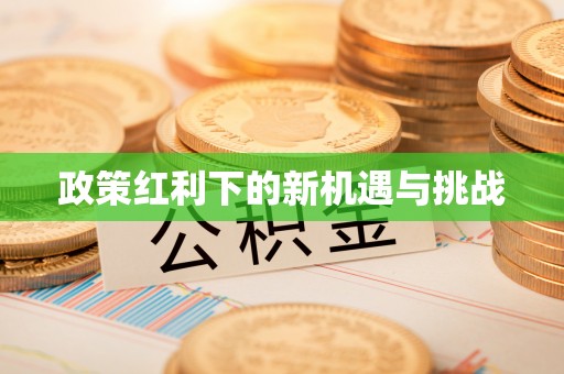新昌政策红利下的新机遇与挑战