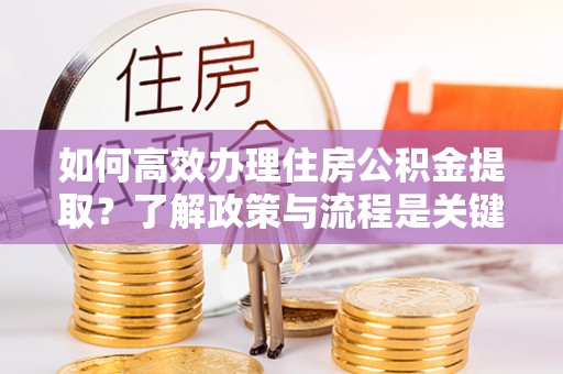 新昌如何高效办理住房公积金提取？了解政策与流程是关键