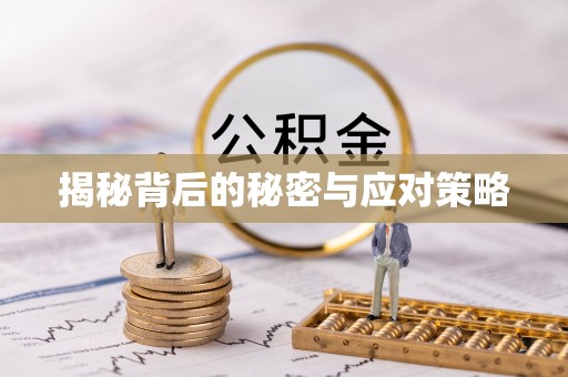 新昌揭秘背后的秘密与应对策略