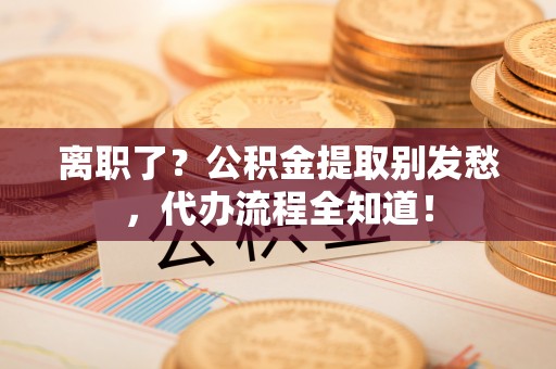 新昌离职了？公积金提取别发愁，代办流程全知道！