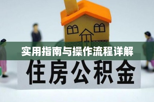 新昌实用指南与操作流程详解