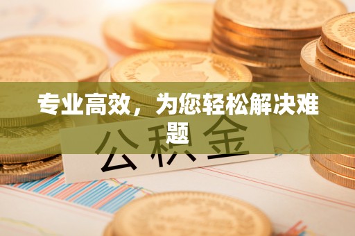 新昌专业高效，为您轻松解决难题