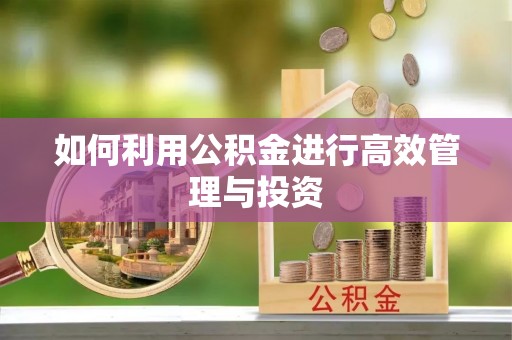 新昌如何利用公积金进行高效管理与投资